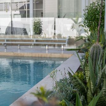 Brisbane, Construction, Plunge Pools Specialists Brisbane