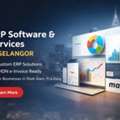 Custom ERP Solutions In Selangor For Growing Companies