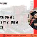Lovely Professional University Bba Courses