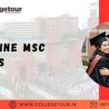Vit Online Msc Courses