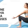 Online Hatha Yoga Classes Beginner Friendly Sessions