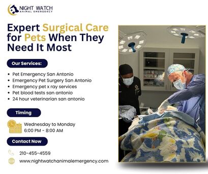 New York, Health, Expert Surgical Care For Pets When They Need It Most