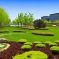 Commercial Landscaping In Everett