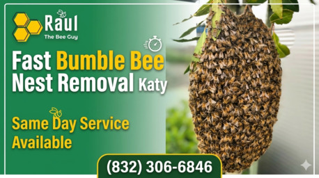 New York, Pest Control, Fast Bumble Bee Nest Removal Katy &ndash; Same Day Service Available