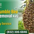 Fast Bumble Bee Nest Removal Katy &ndash; Same Day Service Available