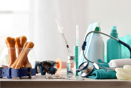 New York, Pet Sitting, Compassionate Veterinary Care For Pets And Their Families