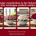 CHF 149,  Blume Verschicken In Der Schweiz &ndash; Alle Wichtigen Einfach Erkl?rt