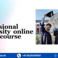 Lovely Professional University Online Mcom Course