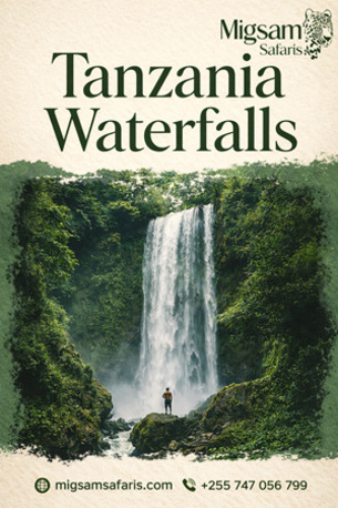 Dar es Salaam, Travel, Tanzania Waterfalls Safari Adventure Experience