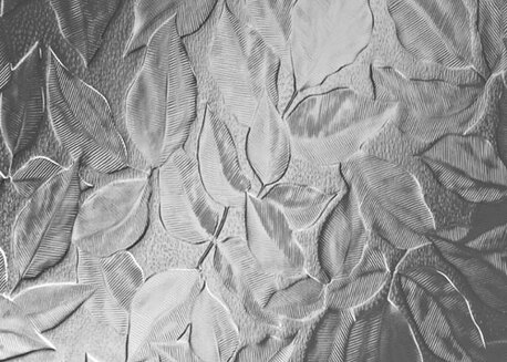 New York, Household, Outdoor Glass Fences Near Point Loma