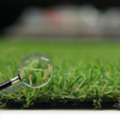 GBP 6,  20mm Artificial Grass UK &ndash; Cheap Fake Lawn | 8 Year Warranty