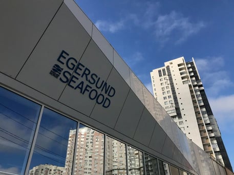 New York, Business, Custom Building Signs In Flower Mound | Commercial Building Signage Experts