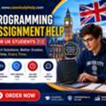 Struggling With Coding Tasks In The UK? Try Casestudyhelp.com