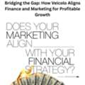 &zwj;Bridging The Gap: How Veicolo Aligns Finance And Marketing For Profitable Growth