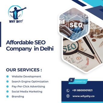 New Delhi, Business, Affordable SEO Company In Delhi For Better Rankings &ndash; Why Shy