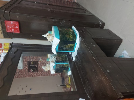 Hofuf, Household Items, SAR 300,  Furniture