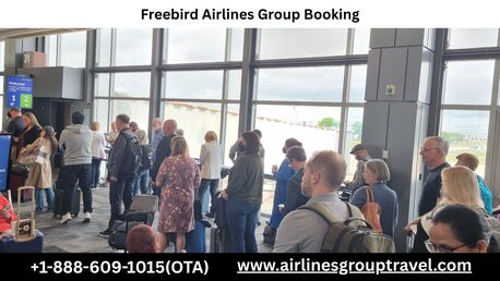 New York, Travel, How To Book Group Flights With Freebird Airlines?