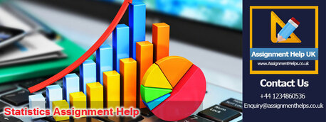 London, Education, What Topics Are Covered In Your Statistics Assignment Help?