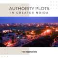Authority Plots In Greater Noida | GNIDA Approved | Maxrow Properties