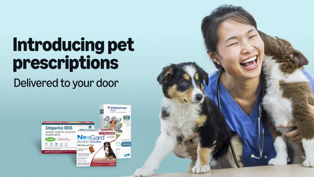 Calgary, Business, Shop Smart With A Trusted Online Pet Pharmacy Canada &ndash; Care Delivered To Your Door