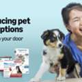 Shop Smart With A Trusted Online Pet Pharmacy Canada &ndash; Care Delivered To Your Door