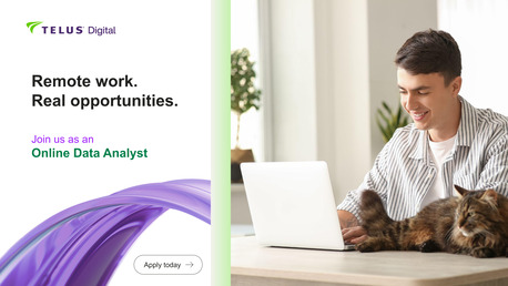 Madrid, Jobs, Online Data Analyst - Spanish (ES)