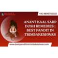 Anant Kaal Sarp Dosh Remedies |  Best Pandit In Trimbakeshwar