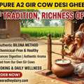 INR 980,  Buy Pure A2 Gir Cow Desi Ghee Online | Shree Radhey Dairy