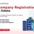 Company Registration In Odisha &ndash; Pvt Ltd Company Registration Made Easy