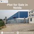 Plot For Sale In Noida | Residential & Industrial Land Available