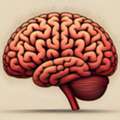 TMS Therapy For Anxiety: A Non-Invasive Solution For Lasting Relief