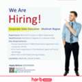 Sales Executive To Madinah Region