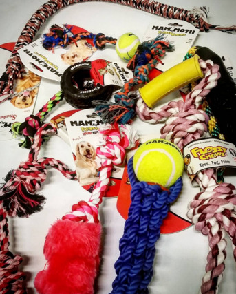 New York, Pet Supplies, DogCatSupply.com &ndash; Order Pet Supplies Online At Best Prices