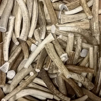 New York, Pet Supplies, DogCatSupply.com &ndash; Order Pet Supplies Online At Best Prices