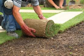 Calgary, Business, Sod Laying & Spring Lawn Cleanup Calgary Experts