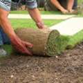 Sod Laying & Spring Lawn Cleanup Calgary Experts