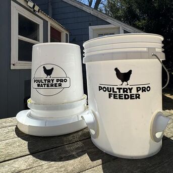 New York, Business, Chicken Gravity Feeder