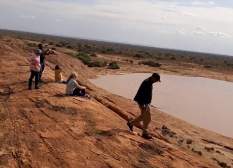 Nairobi, Travel, Family Safari Packages