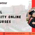 DY PATIL UNIVERSITY ONLINE Mca Courses