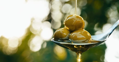 London, Business, Find The Best Olive Oil For Finishing Dishes At The Olive Library.