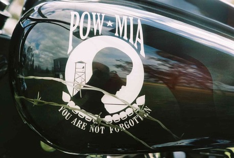 Tampa Bay, Business, Indian Point Property Management