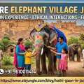 Elephant Village Jaipur