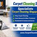 Same Day Carpet Cleaning Specialists In Singapore For Quick Results