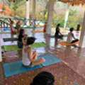Join Professional 300 Hour Yoga Teacher Training Today