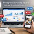 Drive Brand Growth With A Leading Instagram Marketing Agency | DDMS