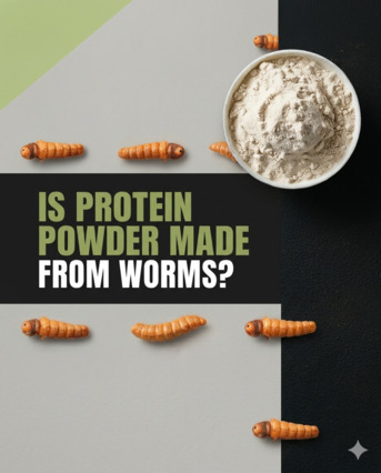 Rio de Janeiro, Health, Is Protein Powder Made From Worms? Here Is The Real Answer