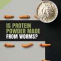 Is Protein Powder Made From Worms? Here Is The Real Answer