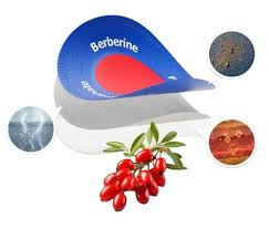 Kabul, Health, Purisaki Berberine Patches &ndash; Herbal Metabolism Support & Weight Management Patch