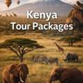 Best Kenya Tour Packages For Wildlife And Adventure Trips