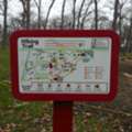 High-Impact Directional Signs In Chicago By SpeedPro Lake County